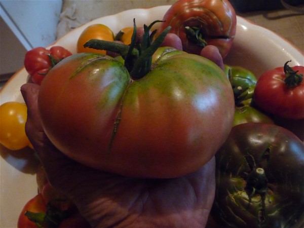 Web 2014-07-07-19 Heirloom Tomato Giant Hand FS 168.jpg